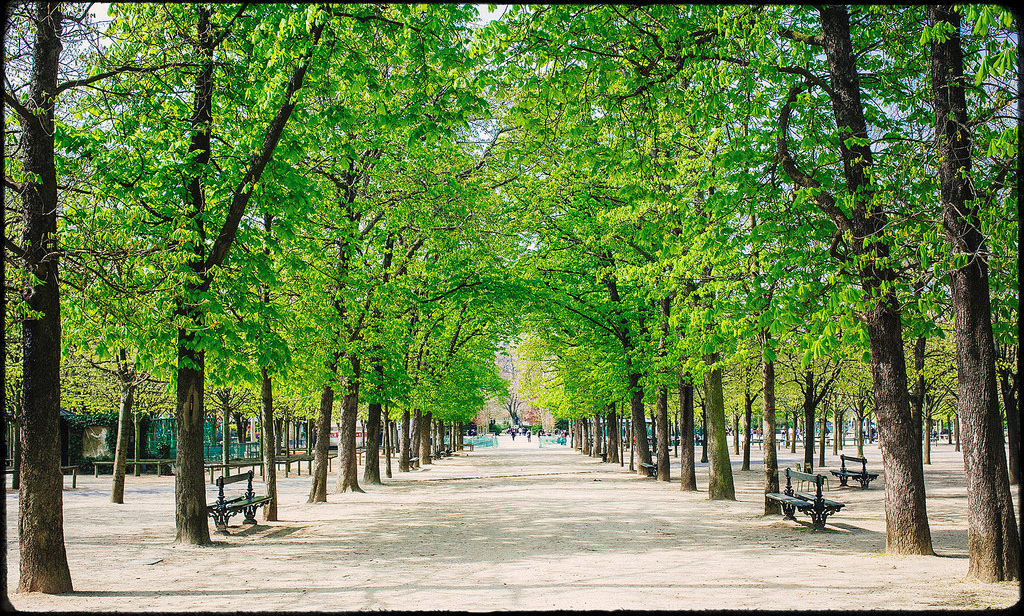 Jardin Luxembourg Paris